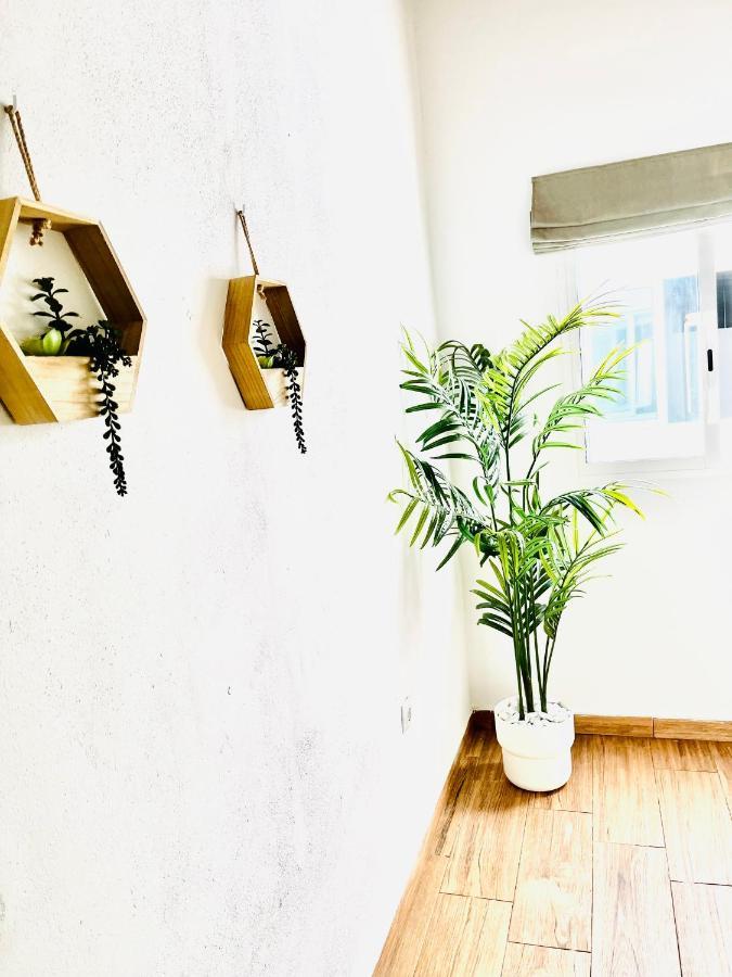شقة Dakota'S House لا لاغونا المظهر الخارجي الصورة